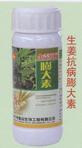 点击查看详细信息<br>标题:生姜抗病膨大素 阅读次数:1626