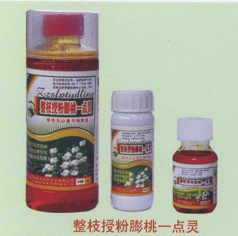 点击查看详细信息<br>标题:整枝授粉膨桃一点灵 阅读次数:2096