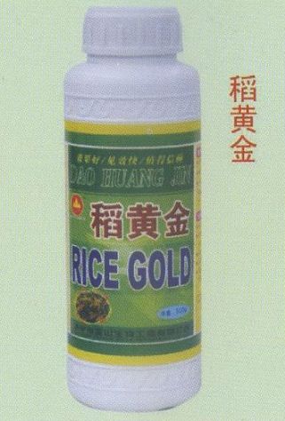 点击查看详细信息<br>标题:稻黄金 阅读次数:1524