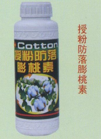 点击查看详细信息<br>标题:授粉防落膨桃素 阅读次数:1625
