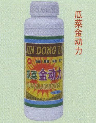 点击查看详细信息<br>标题:瓜菜金动力 阅读次数:1668