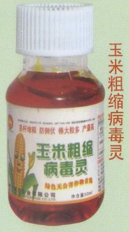 点击查看详细信息<br>标题:玉米粗缩病毒灵 阅读次数:1599
