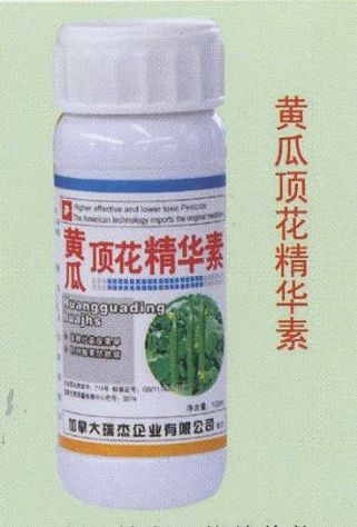 点击查看详细信息<br>标题：黄瓜顶花精华素 阅读次数：1344