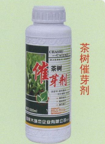 点击查看详细信息<br>标题：茶树催芽剂 阅读次数：1572