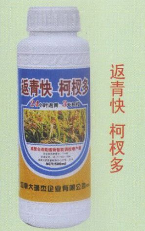 点击查看详细信息<br>标题：返青快 柯杈多 阅读次数：1606