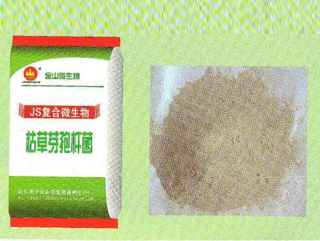 点击查看详细信息<br>标题:枯草芽孢杆菌菌粉 阅读次数:1799
