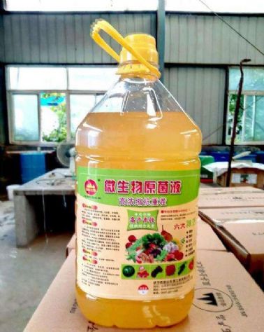 点击查看详细信息<br>标题:高浓缩微生物原菌液 阅读次数:1633
