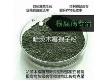 点击查看详细信息<br>标题：微生物菌剂系列 阅读次数：864