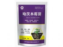 点击查看详细信息<br>标题：微生物菌剂系列 阅读次数：866