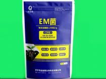 点击查看详细信息<br>标题：微生物菌剂系列 阅读次数：825
