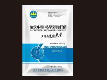 点击查看详细信息<br>标题：微生物菌剂系列 阅读次数：1362